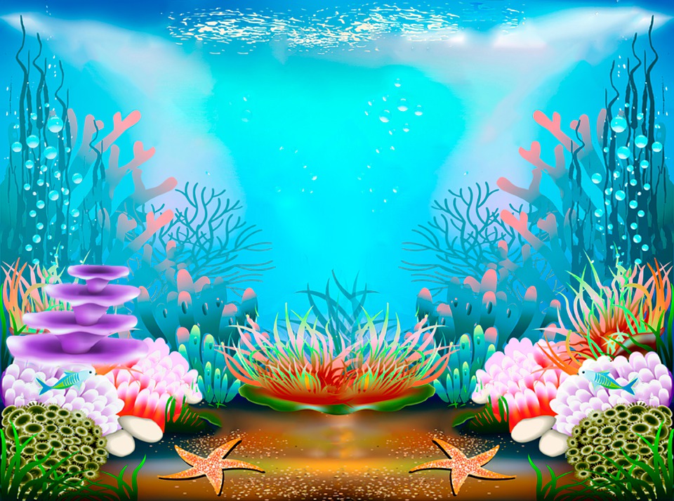 the-bottom-of-the-sea-4812078_960_720